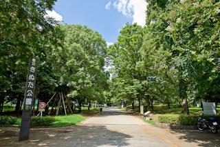 park. Boasting a natural and extensive grounds of 240m approximately 390,000 sq m to Kinutakoen "Kinutakoen" is a 3-minute walk. 