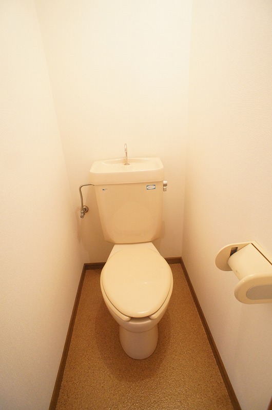 Toilet. Toilet of white keynote