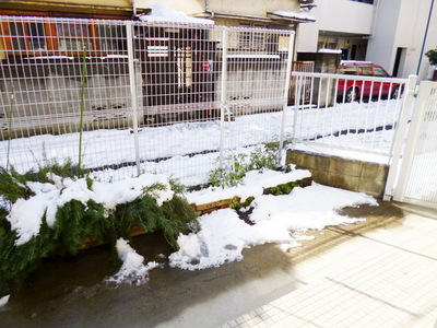 Balcony. Balcony