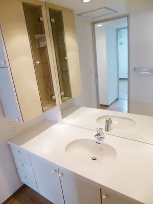 Washroom. Large washbasin