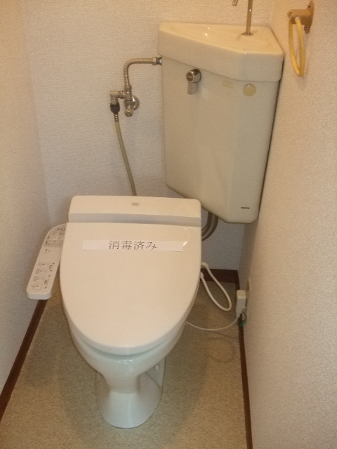 Toilet. Bidet with toilet