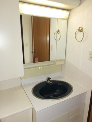 Washroom. It is a convenient independent washbasin