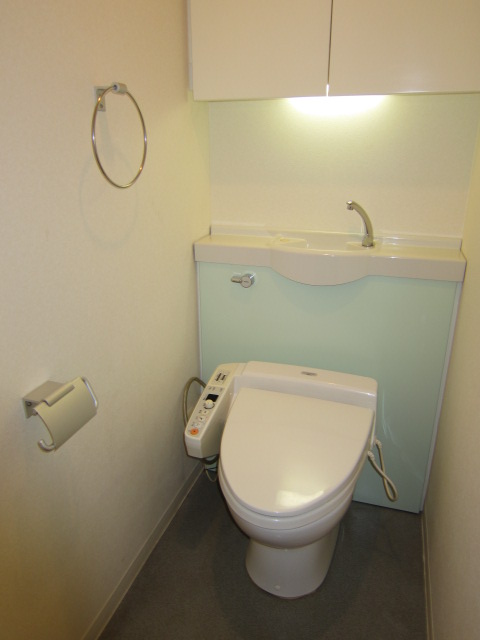 Toilet. Washlet toilet