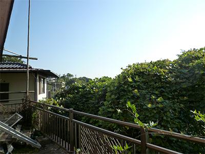Local land photo