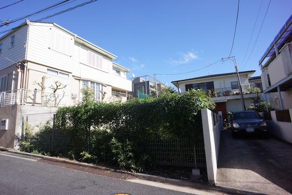 Local land photo