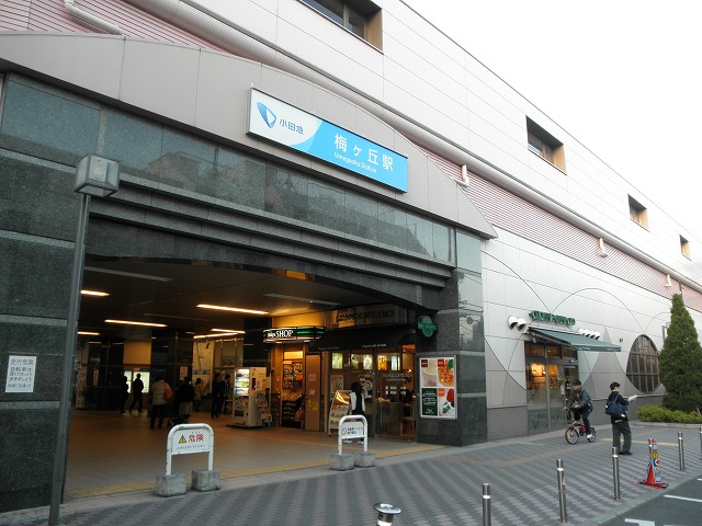 Other. Umegaoka Station