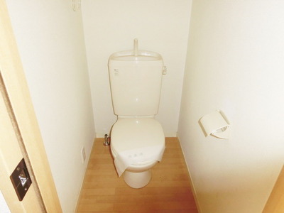 Toilet. It is a toilet with a clean