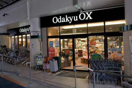 Other. Odakyu OX