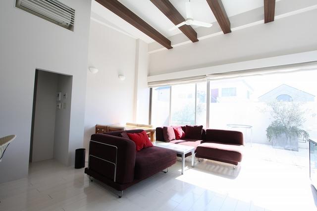 Living. Bright, high-ceilinged living room