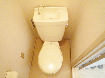 Toilet. Toilet