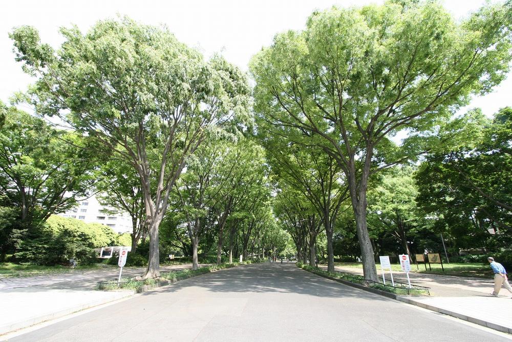 park. 530m to Komazawa Olympic Park