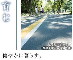 Other. Vast to "Komazawa Olympic Park" is, Tennis courts and indoor ball game field, gymnasium, And such as cycling and jogging course maintenance. You can enjoy the holiday of walks and sports feel free to