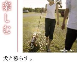 Other. Holiday morning, Along with the dog to "Komazawa Olympic Park.". Enjoy along with the dog of a friend in the daytime is in the park dog run. The city also has been enhanced many dog ​​cafes and pet shops are people who have a dog. 