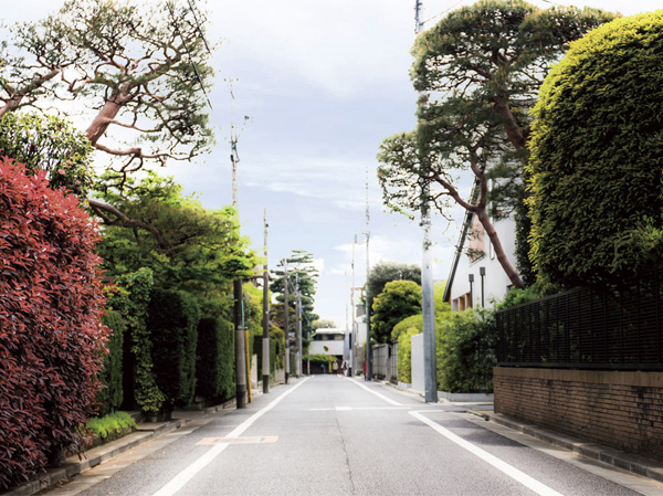 Surrounding environment. Local front of the residential area