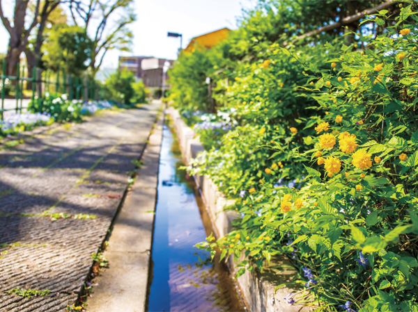 Surrounding environment. Kitazawa River green road (a 3-minute walk / About 170m)