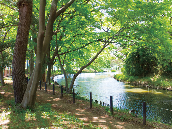 Surrounding environment. Shogun pond Square (a 5-minute walk / About 350m)