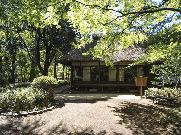 Surrounding environment. Including "Sakurajosui park" of a 4-minute walk, Lush park has scattered many in the surrounding local. (Roka Hisashiharuen / Walk 16 minutes ・ About 1230m)