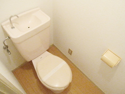 Toilet. It has become a toilet calm slowly