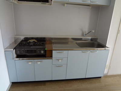 Kitchen. Gas stove installation Allowed! 