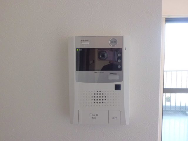 Security. With a TV monitor. This is an automatic lock properties of peace of mind