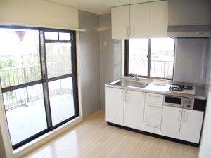 Living and room. Large kitchen space in the window.