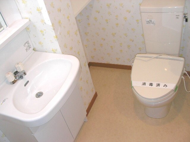 Washroom. Wide dressing room