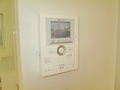 Security. TV monitor phone