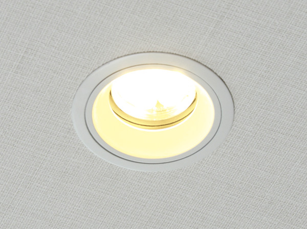 Other.  [LED lighting] To <BRANZ Todoroki> In dwelling unit of the down light offers superior LED lighting to energy-saving. (Except for some places)