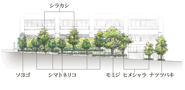 Features of the building.  [Nature of Todoroki drawn on site] The on-site, A symbol of Todoroki "rich natural" theme to a total of about 12 species of trees a ・ Nakaki about 130 this, Planting ranging in other about 900 shares have been adorned. There is also a rooftop garden-held green and flowers and touch time, While are in the city, There is always there is life to be feeling the four seasons. (Planting Rendering)