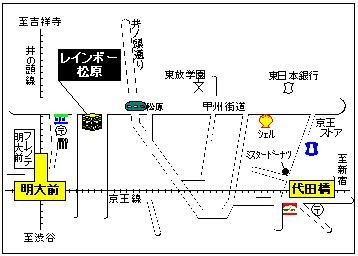 Local guide map