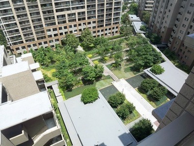 Other. courtyard