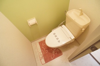 Toilet. Accent to shower toilet color ☆