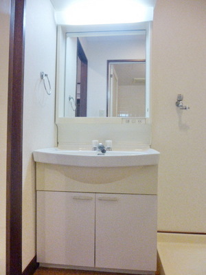 Washroom. Separate vanity