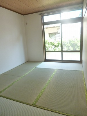 Living and room. Japanese style room