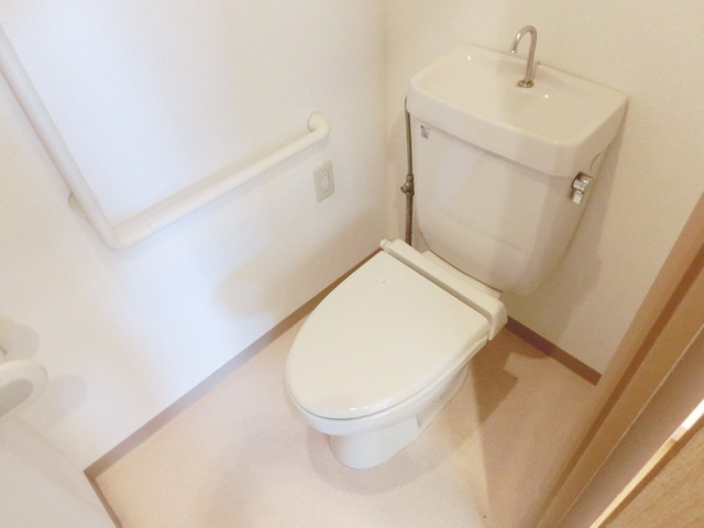 Toilet. Spacious toilet