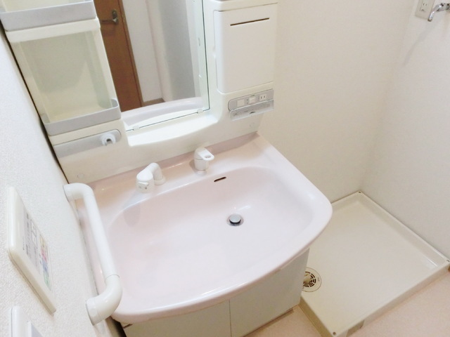 Washroom. Spacious and independent washbasin