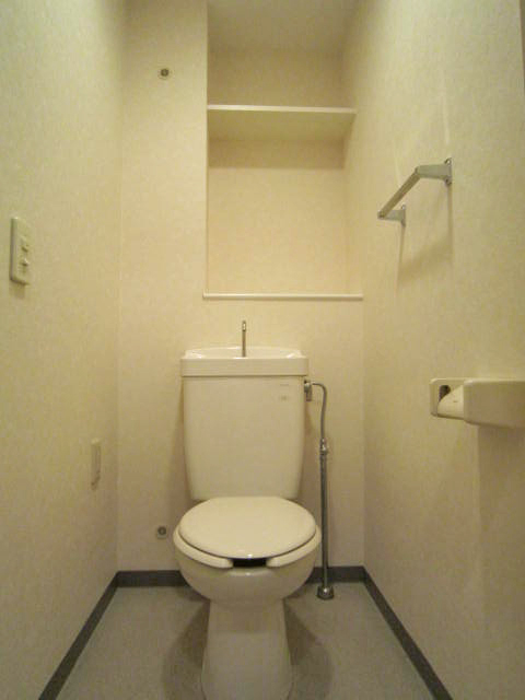 Toilet. With a convenient shelf