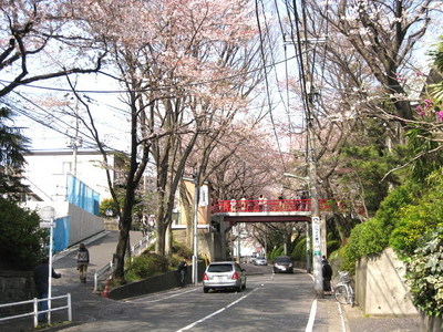 Other. 500m to Sakurazaka (Other)