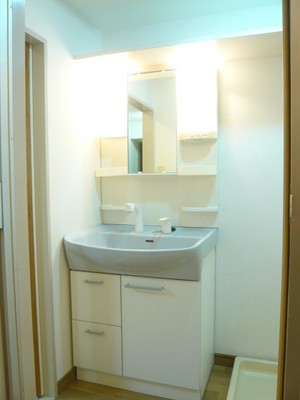 Washroom. Shampoo dresser