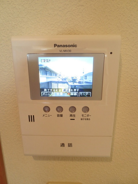 Security. TV monitor phone