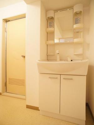 Washroom. Popular equipment shampoo dresser