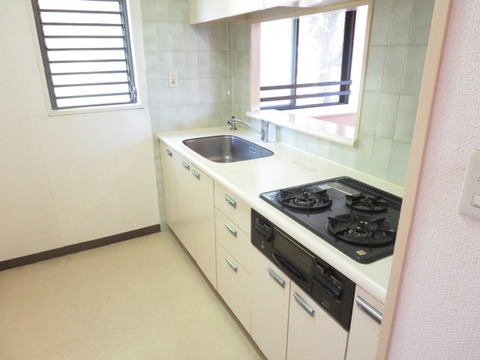 Kitchen. System kitchen