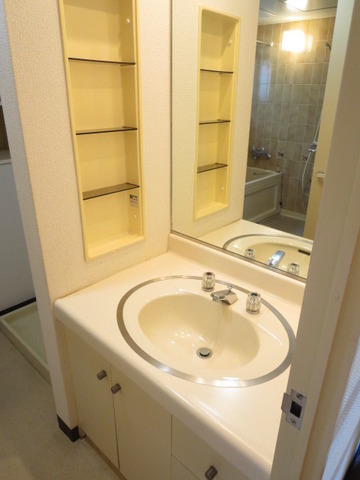 Washroom. Bathroom vanity