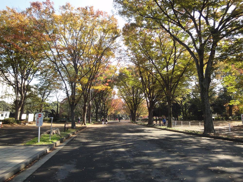 park. 500m to Komazawa Olympic Park