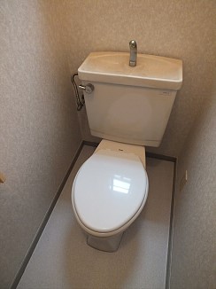 Toilet