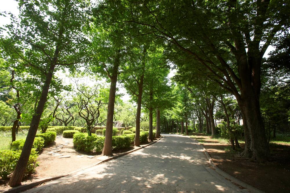 park. In the streets standing still is houses some 1080m stately until Hanegi park, Spread a rich green enough to forget that it is a metropolitan area, And dotted with spacious park air drifts.