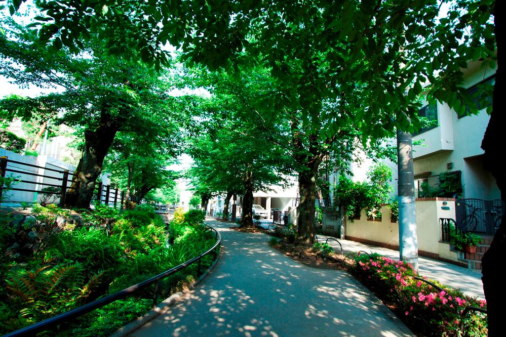 park. 590m upstream until Kitazawa River green canal Shirota downstream from Akatsutsumi ・ Daizawa ・ In extended about 4.3 km until Ikejiri, Cans trees and miscellaneous trees such are planted, Seasonal flowers has become a bloom green promenade.