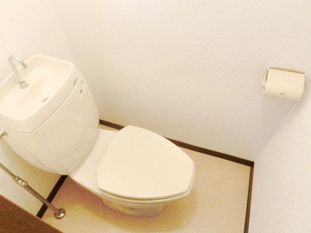 Toilet. It is a toilet with a clean