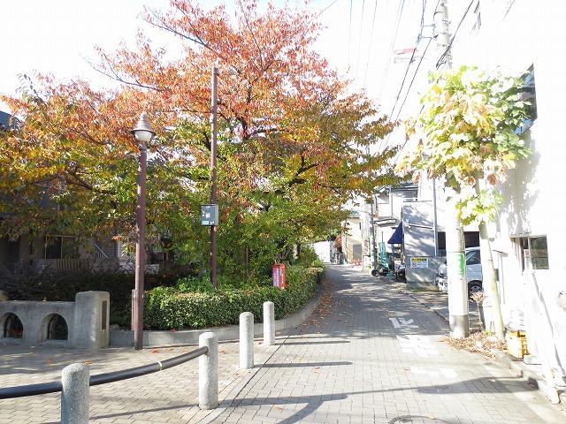 Other Environmental Photo. 80m to Kitazawa River green road