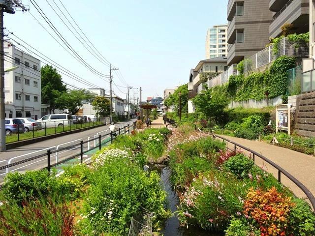 Other local. Municipal Meguro River green road  About 10m